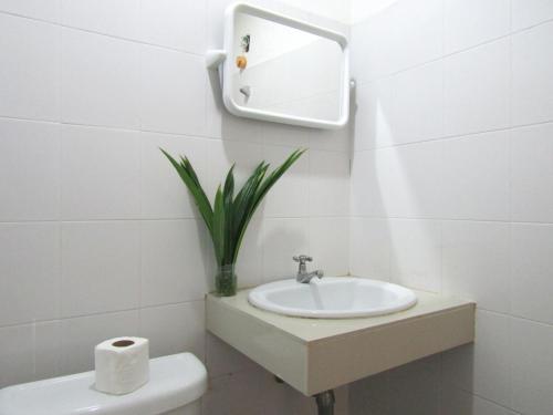 a bathroom with a sink and a toilet and a mirror at K-Bunk Hostel in Ao Nang Beach