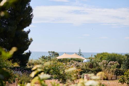 Marbella Club Hotel · Golf Resort & Spa photo 165