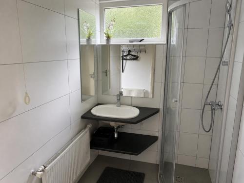 a bathroom with a sink and a mirror and a shower at De Duinrand in Oostkapelle