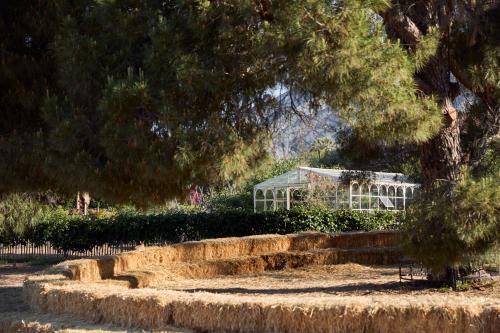 Marbella Club Hotel · Golf Resort & Spa photo 168