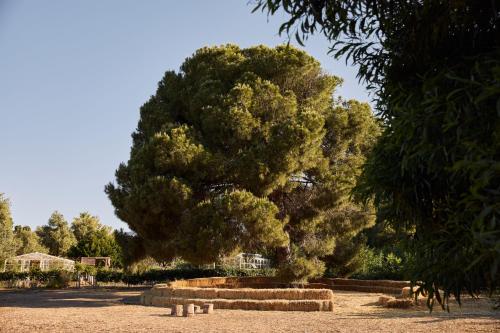 Marbella Club Hotel · Golf Resort & Spa photo 169