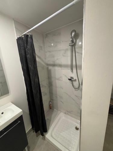 a bathroom with a shower and a sink at Studio proche PARIS-orly in Sainte-Geneviève-des-Bois