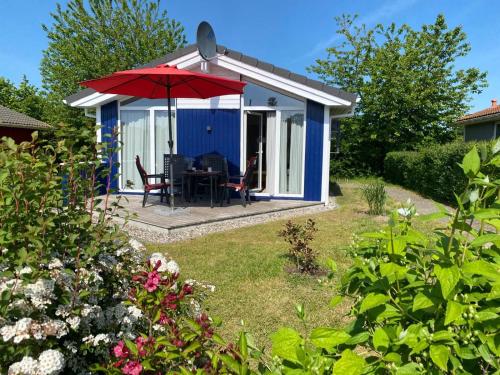 a blue cottage with a table and a red umbrella at Ferienhaus Strandpark 13 in Grömitz