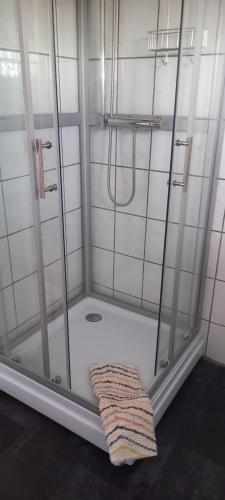 a shower with a glass door and a rug at Mysan in Glommersträsk