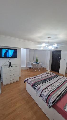 a bedroom with a large bed and a flat screen tv at Gabriela Studio in Drobeta-Turnu Severin