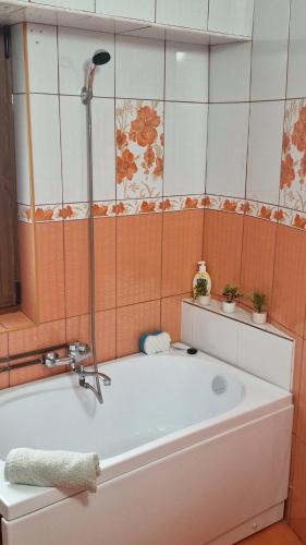 a bath tub with a shower in a bathroom at Gabriela Studio in Drobeta-Turnu Severin