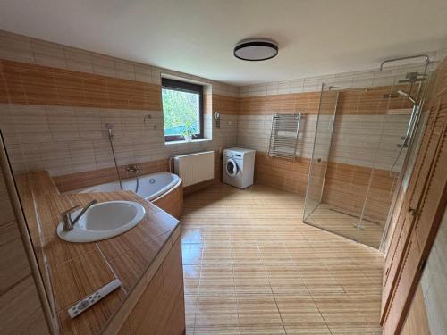 a bathroom with a toilet and a sink and a shower at Pohoda ve Starých Bukách in Staré Buky