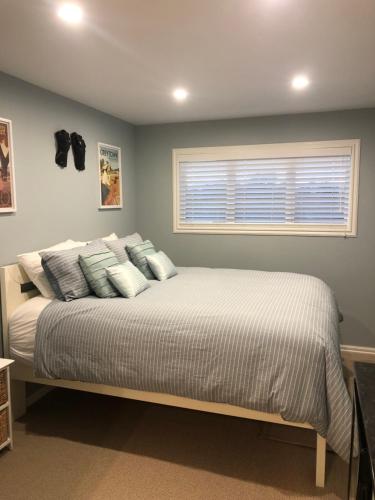 a bedroom with a bed with blue pillows and a window at Truffle Ridge Vineyard Stay in Martinborough