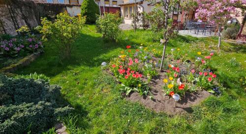 a garden with colorful flowers in the grass at Ferienhaus Rosengarten in Blankenburg