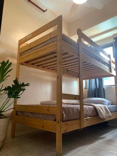 a wooden bunk bed in a room with a plant at The Pine Lush Hideout in Baguio