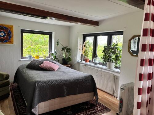 a bedroom with a bed and two windows at Sjörups Vera in Trelleborg