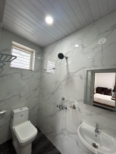 a bathroom with a toilet and a sink and a mirror at DD cottages Mandrem Goa in Mandrem