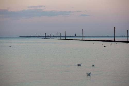 two people swimming in the water near a beach at 216 große Ferienwohnung Schwalbennest in Wittmund