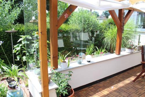 a balcony with potted plants in a garden at Ferienzimmer Riesebeck in Wieck