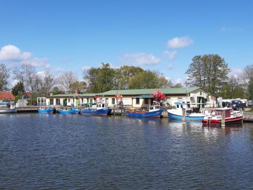 a group of boats are docked on the water at FH am Haff B in Altwarp