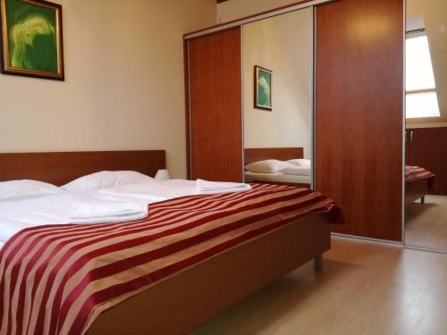 1 dormitorio con cama y espejo en Luxury Apartment, en Bešeňová