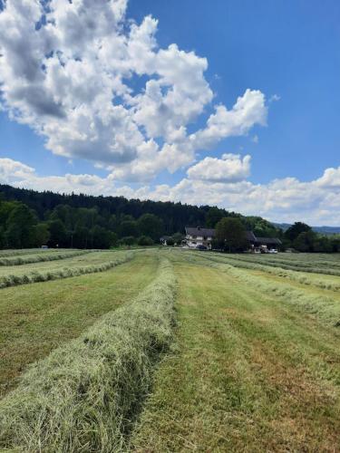 ein mit Heu gefülltes Feld oben in der Unterkunft Ferienwohnung Andre in Miesbach
