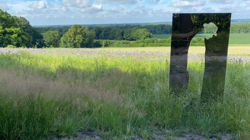a pole in the middle of a field of flowers at FeWo Hasen Suite in Worpswede