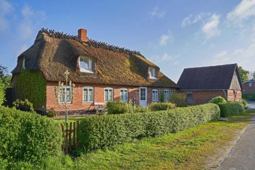a house with a thatched roof with a hedge at Reetdachhaus De Ole Kaat in Niesgrau