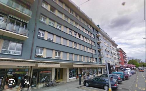 Cozy 1 Bedroom in Central Geneva
