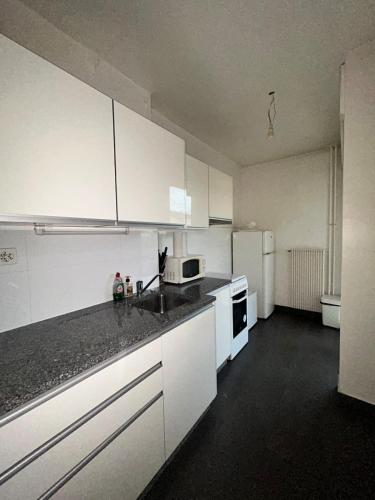 Cozy 1 Bedroom in Central Geneva