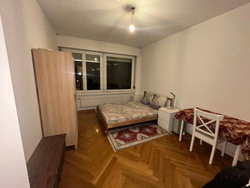 Cozy 1 Bedroom in Central Geneva