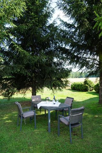 a table and chairs under a tree in the grass at Ferienhaus Voss in Alt Zauche