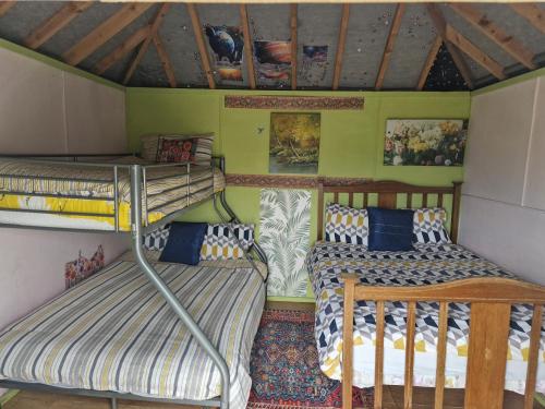 a bedroom with two bunk beds in a room at Shannon Estuary Glamping Budget-Sustainable-Biodiversity Habitat--Rustic-Countryside Holiday Accommodation in Effernan