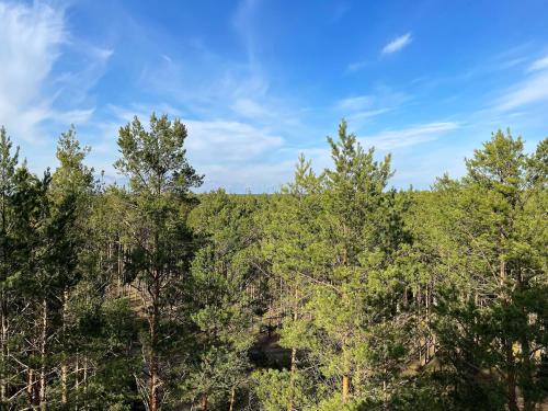 a group of trees against a blue sky at Wasserturm Spreewitz in Spreewitz