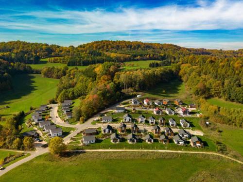 an aerial view of a housing estate with homes at Einzelhaus Premium in Truppach