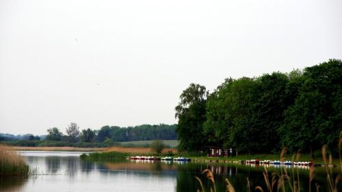 a river with a bunch of boats in the water at Ferienhaus in Teterow