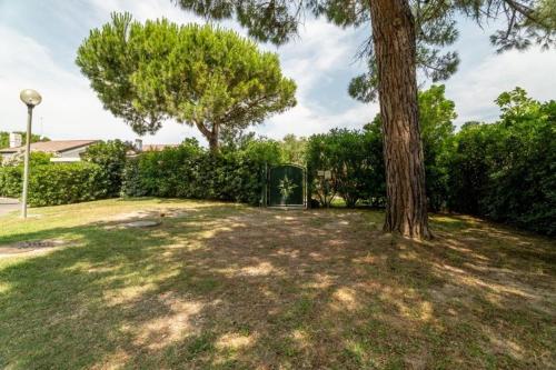 a park with a tree and a gate at D Oro in Caleri