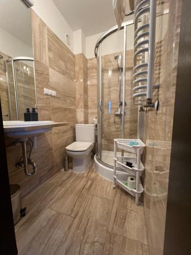 a bathroom with a shower and a toilet and a sink at Szara Willa U Ksawerego in Szklarska Poręba