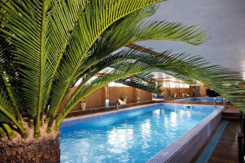 Prezident Hotel Novi Sad - Outdoor Pool & Spa — Pool view