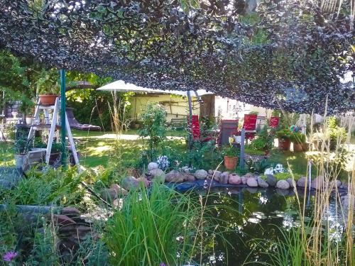 a garden with a pond and some plants at Gemütliche Ferienwohnung Löbert in Lübbenau