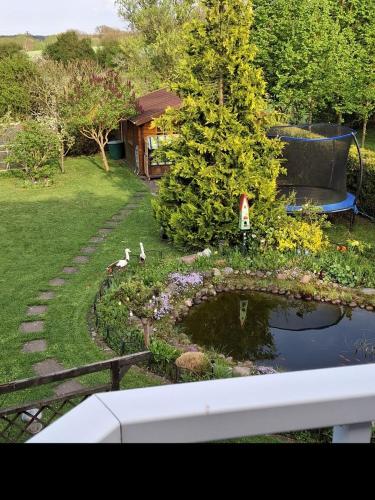 a garden with ducks in a pond in a yard at Ferienwohnung Janine in Neubrandenburg
