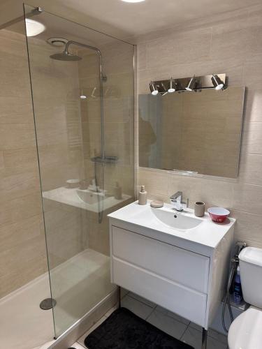 a bathroom with a white sink and a shower at appartement cosy tout équipe in Épinay-sur-Orge