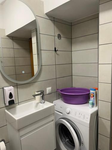 a bathroom with a washing machine and a sink at Apartment Sole in Poreč