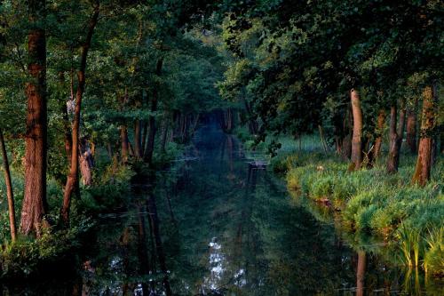 a painting of a canal in a forest with trees at Ferienwohnung Spreewald pur in Stennewitz