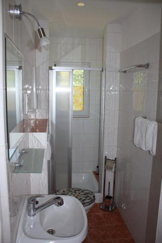 a bathroom with a sink and a shower and a toilet at Ferienhaus Stechlinsee 1 in Stechlin