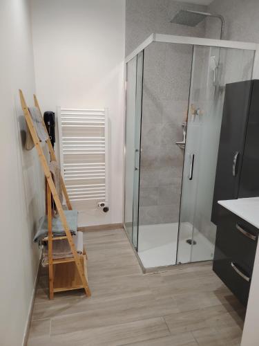 a bathroom with a walk in shower and a ladder at Jauxvial 2 in Jaux