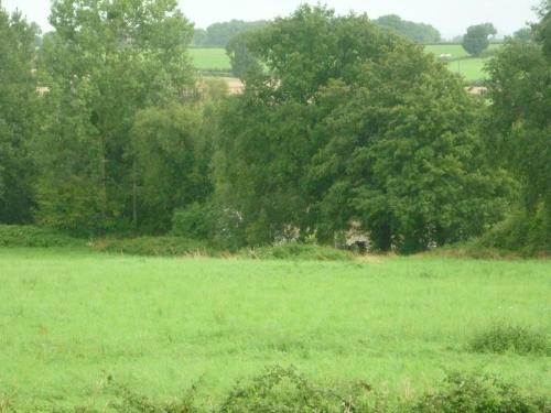 a green field with trees in the background at Chante-Cristal in Target