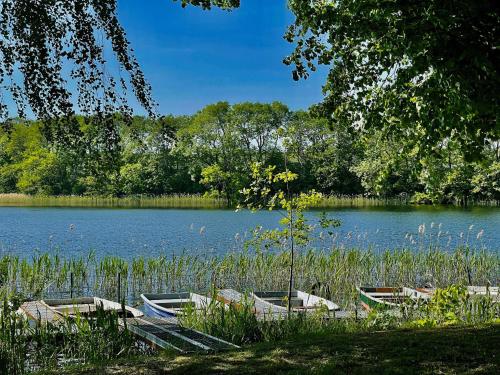 a group of boats sitting on the side of a lake at Ferienhaus "Am Flachsee" in Sophienhof