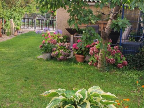 a garden with pots of flowers in a yard at Ferienhaus "Christin" Objekt-ID 15689-2 in Waren