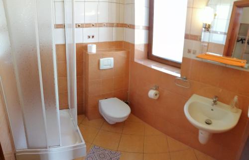 a bathroom with a shower and a toilet and a sink at Villa meisterburg in Ściegny