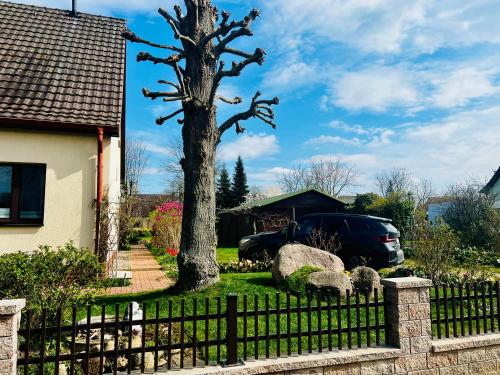 a tree in a yard next to a fence at Ferienwohnung "Baum" in Rechlin