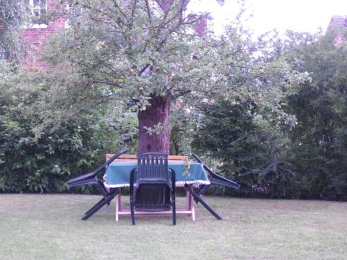 two chairs sitting in front of a tree at Ferienwohnung "Korte" in Rechlin