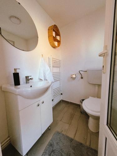 a bathroom with a sink and a toilet at Casa TOR - Moieciu de Jos in Moieciu de Jos