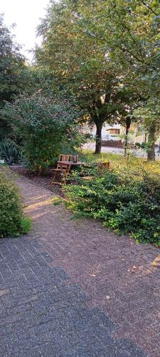a wooden bench sitting in a park with trees at Ferienappartment Schneiderbanger in Bad Wildungen