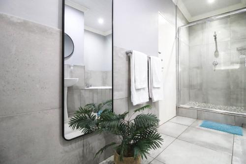 a bathroom with a shower and a plant in it at African Sands Guesthouse in Bloemfontein